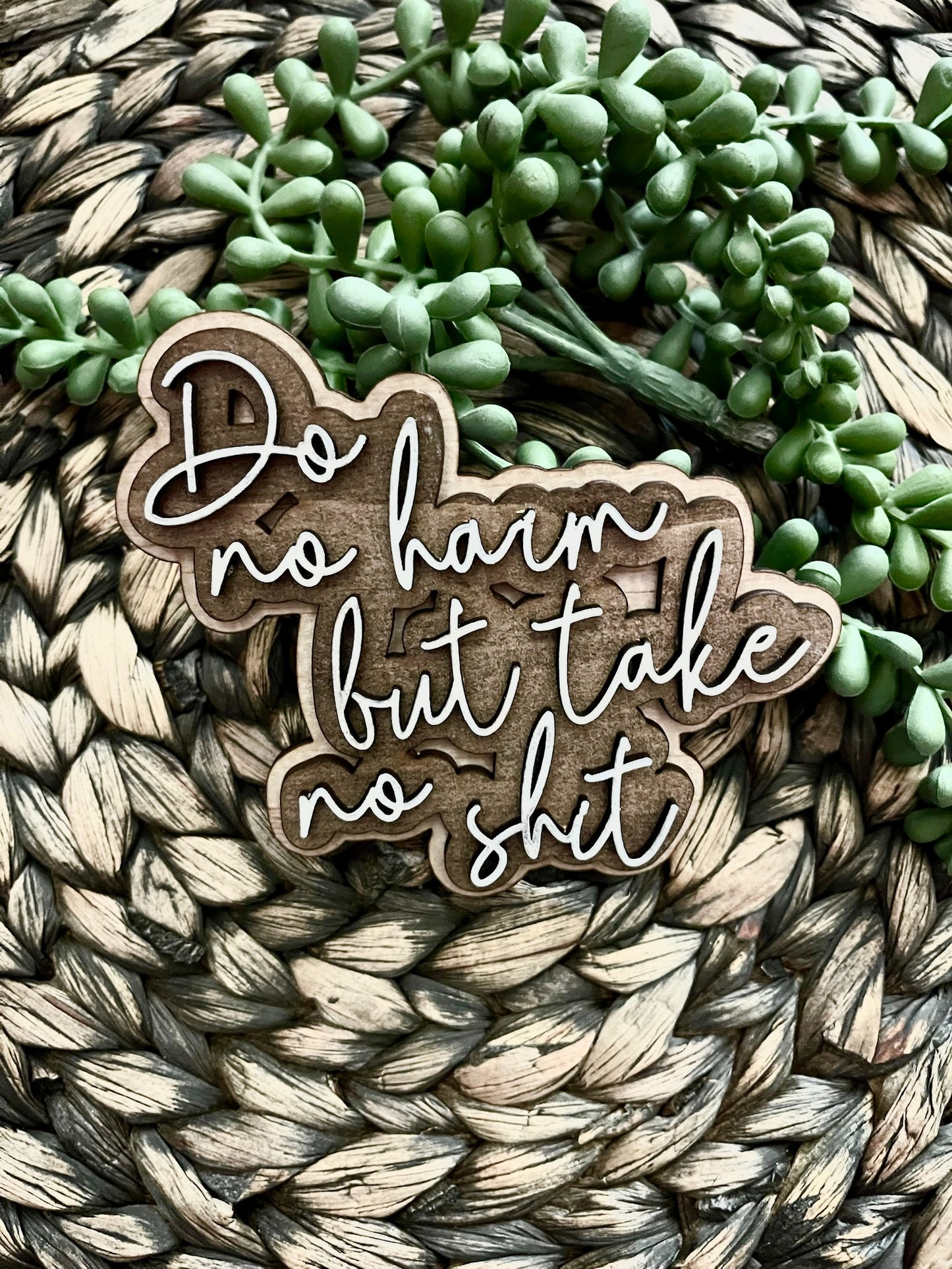 “Do No Harm” Magnet